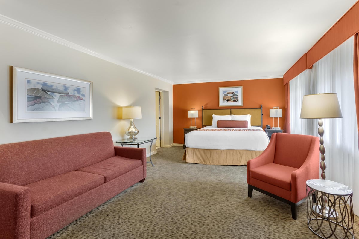 Une chambre d’hôtel avec un lit, un fauteuil rouge, une petite table et un canapé.