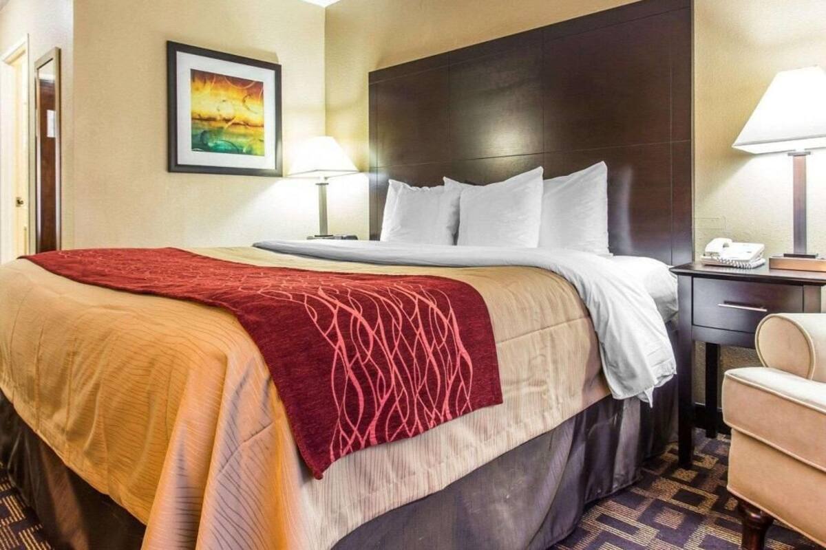Premium bedding, down duvets, pillow-top beds, desk