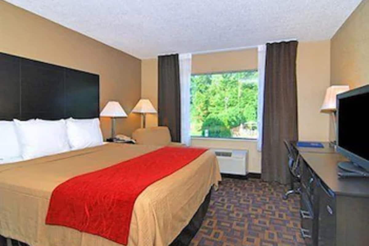 Chambre Standard, 1 très grand lit, non-fumeur | Vue de la chambre