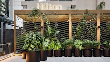 L’entrée d’un hôtel, avec une enseigne « Hilton », un espace extérieur couvert agrémenté de plantes en pot et une clôture en treillis métallique.