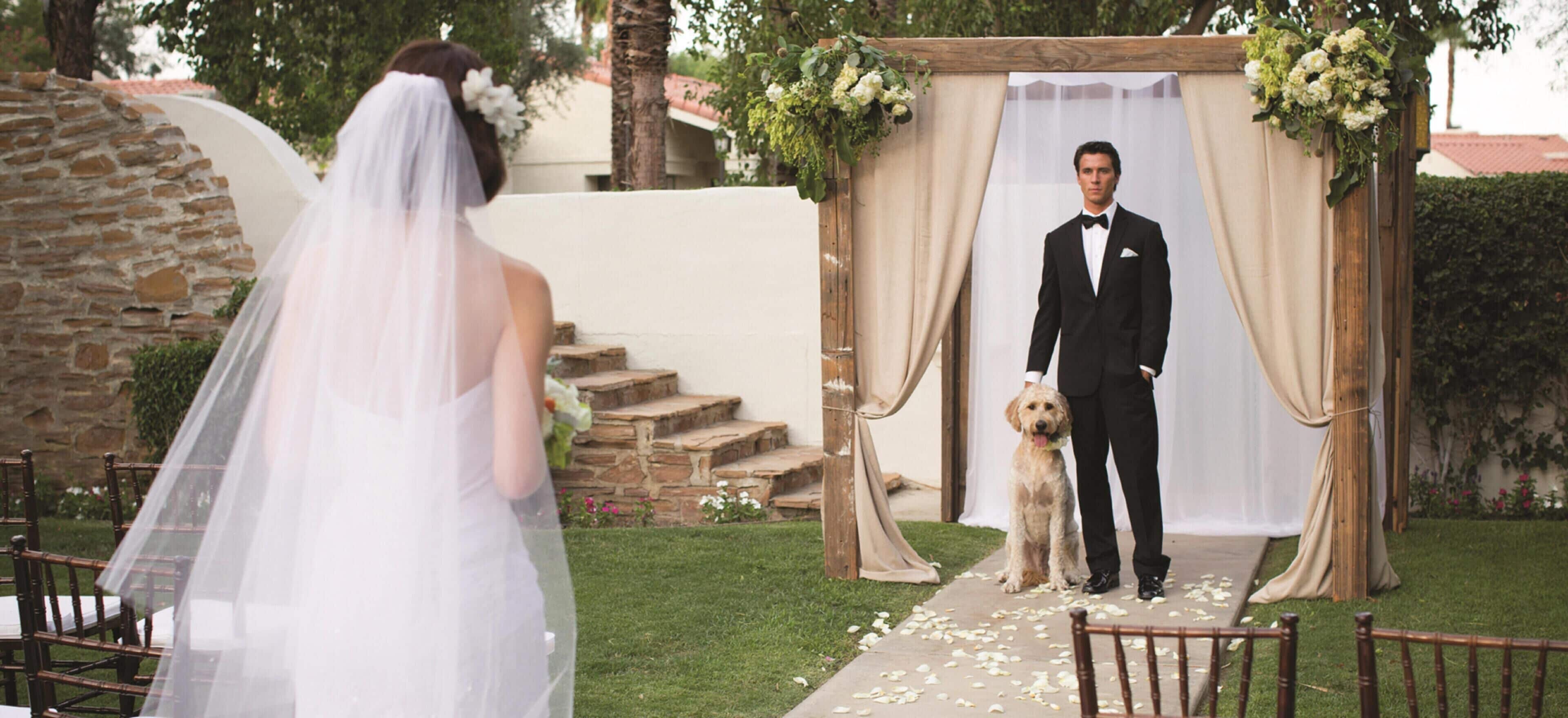 A wedding ceremony with a groom and a dog in a rustic outdoor setting.