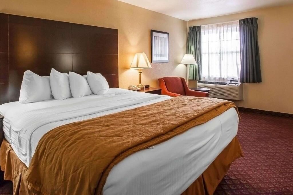 Premium bedding, pillow-top beds, blackout curtains, iron/ironing board