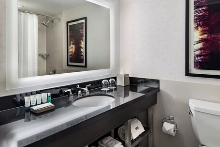 The Westin Harbour Castle, Toronto - Image 30