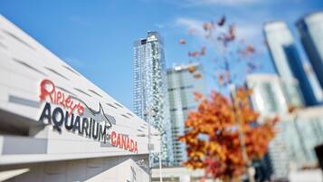 Ripley's Aquarium of Canada with a clear view of the building's signage and surrounding skyscrapers.