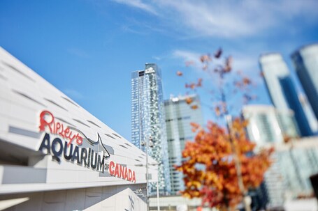The Westin Harbour Castle, Toronto - Image 9