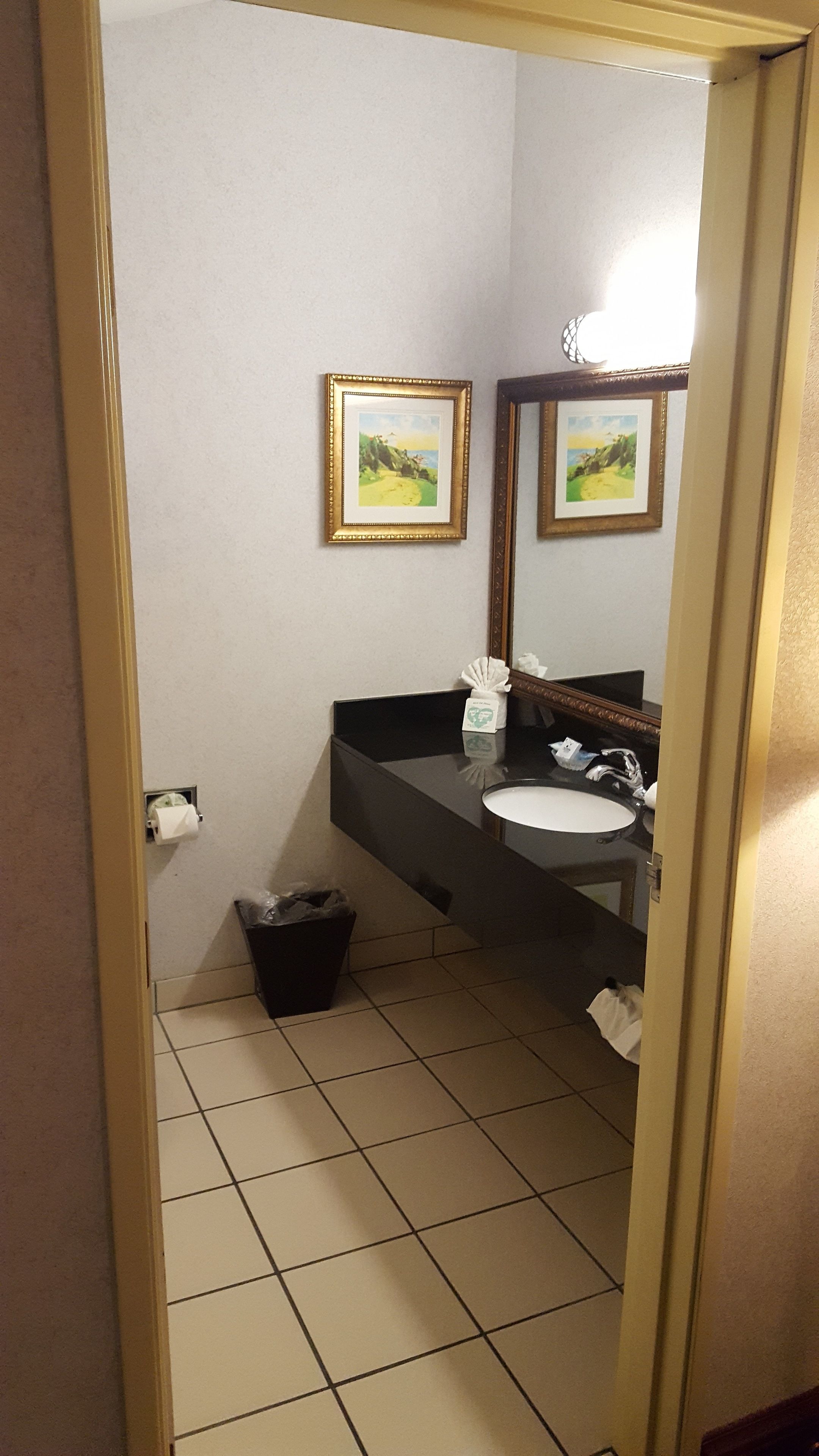 combined shower/bathtub, eco-friendly toiletries, hair dryer, towels