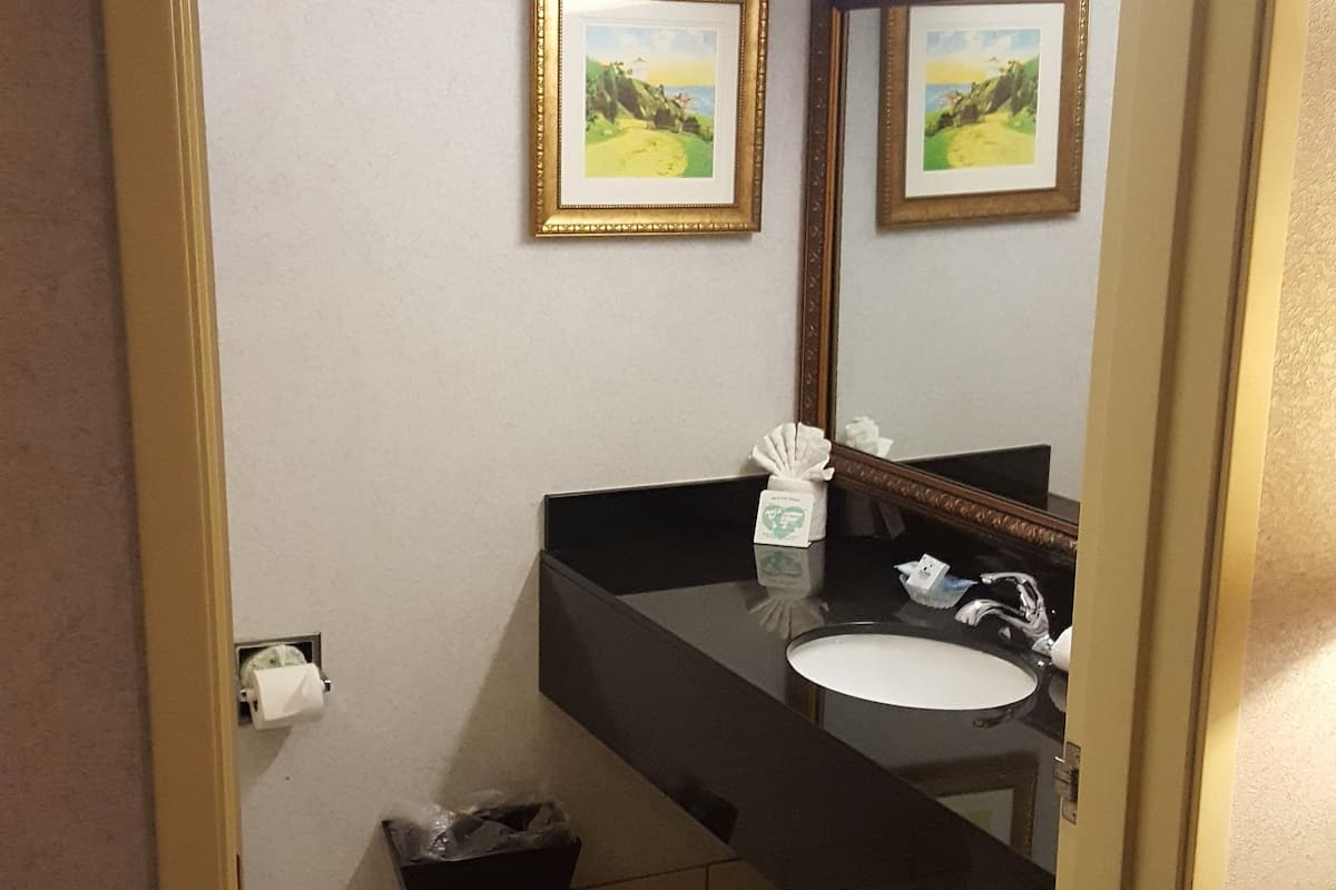 combined shower/bathtub, eco-friendly toiletries, hair dryer, towels