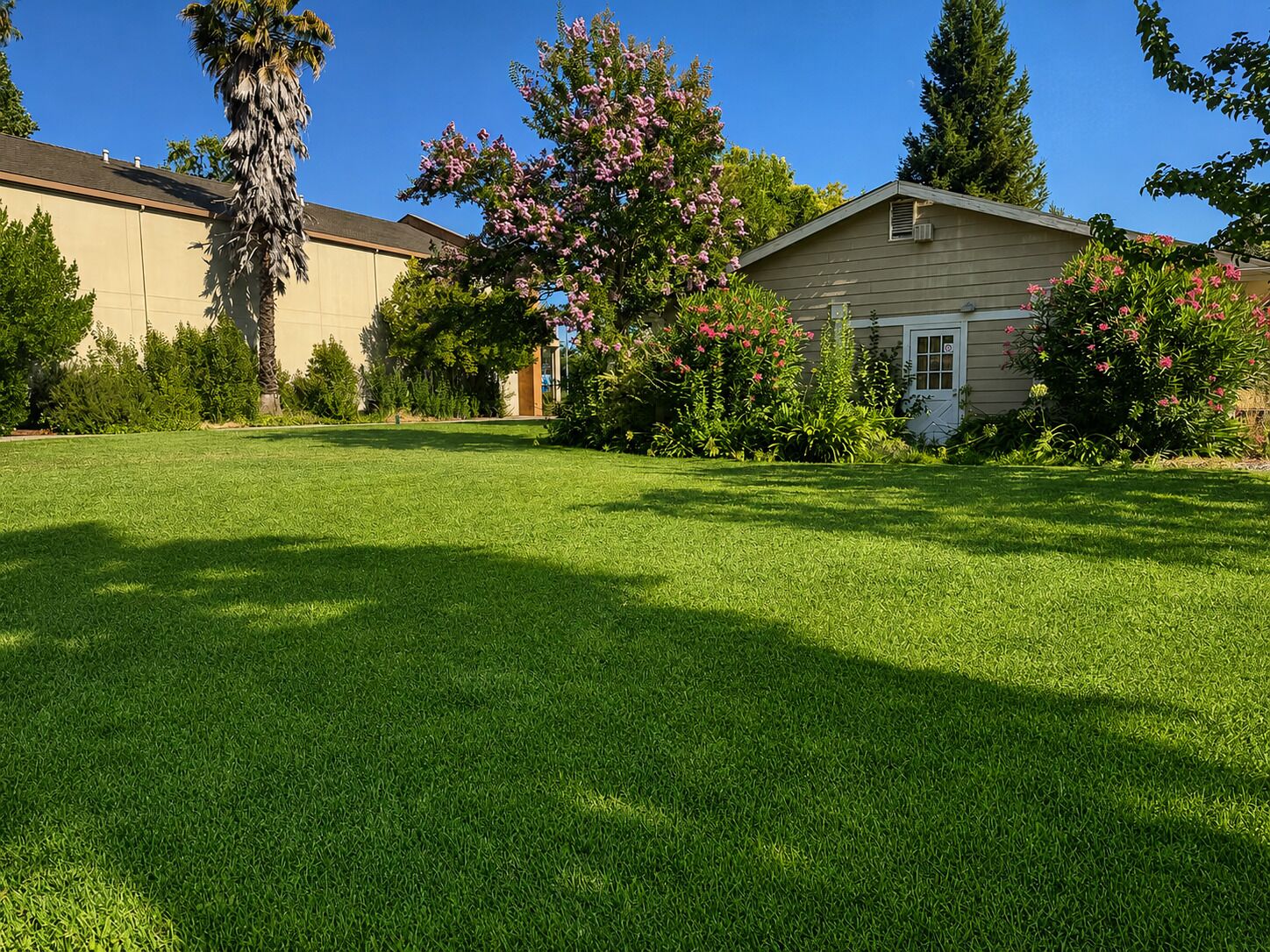 A residential property with a well-maintained lawn, a large tree, and a house with a visible garage door.