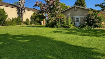 A residential property with a well-maintained lawn, a large tree, and a house with a visible garage door.