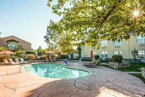 Outdoor pool, open 8:00 AM to 9:00 PM, sun loungers
