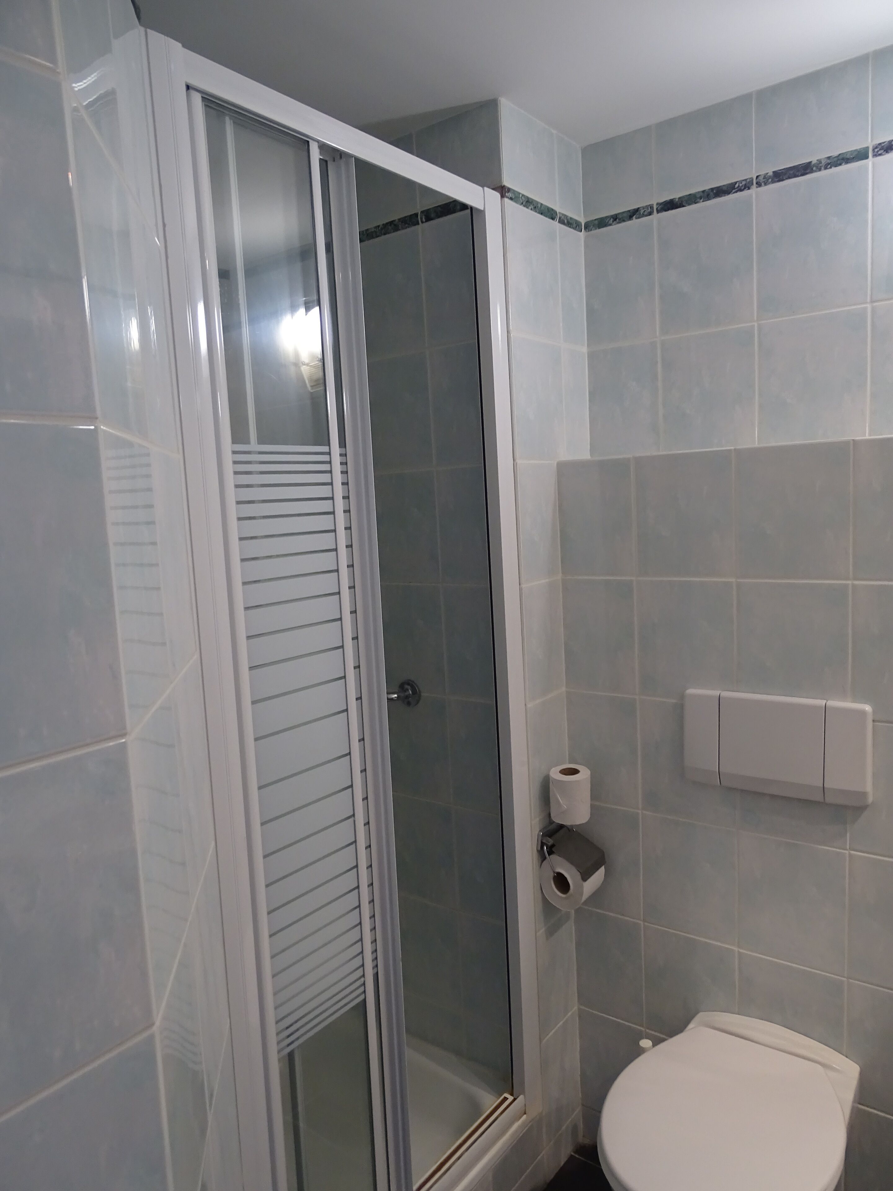 A bathroom with a glass-enclosed shower, a toilet, and a towel rack.