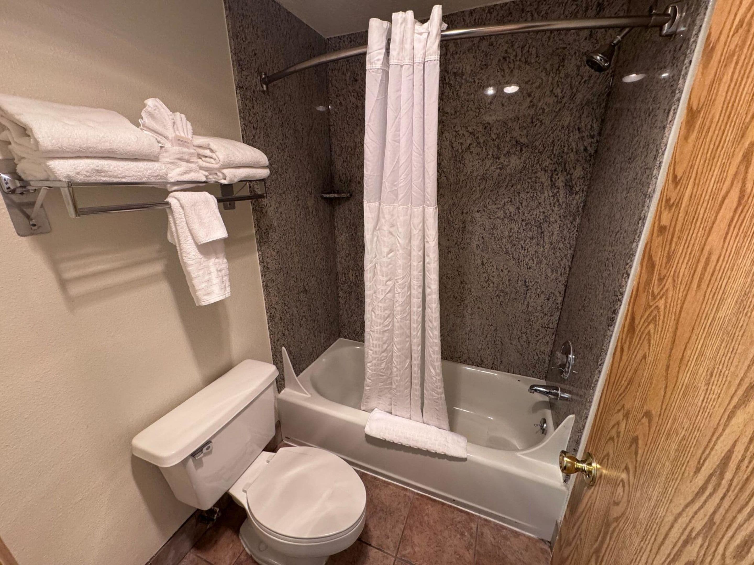 A bathroom with a toilet, bathtub, and shower curtain.