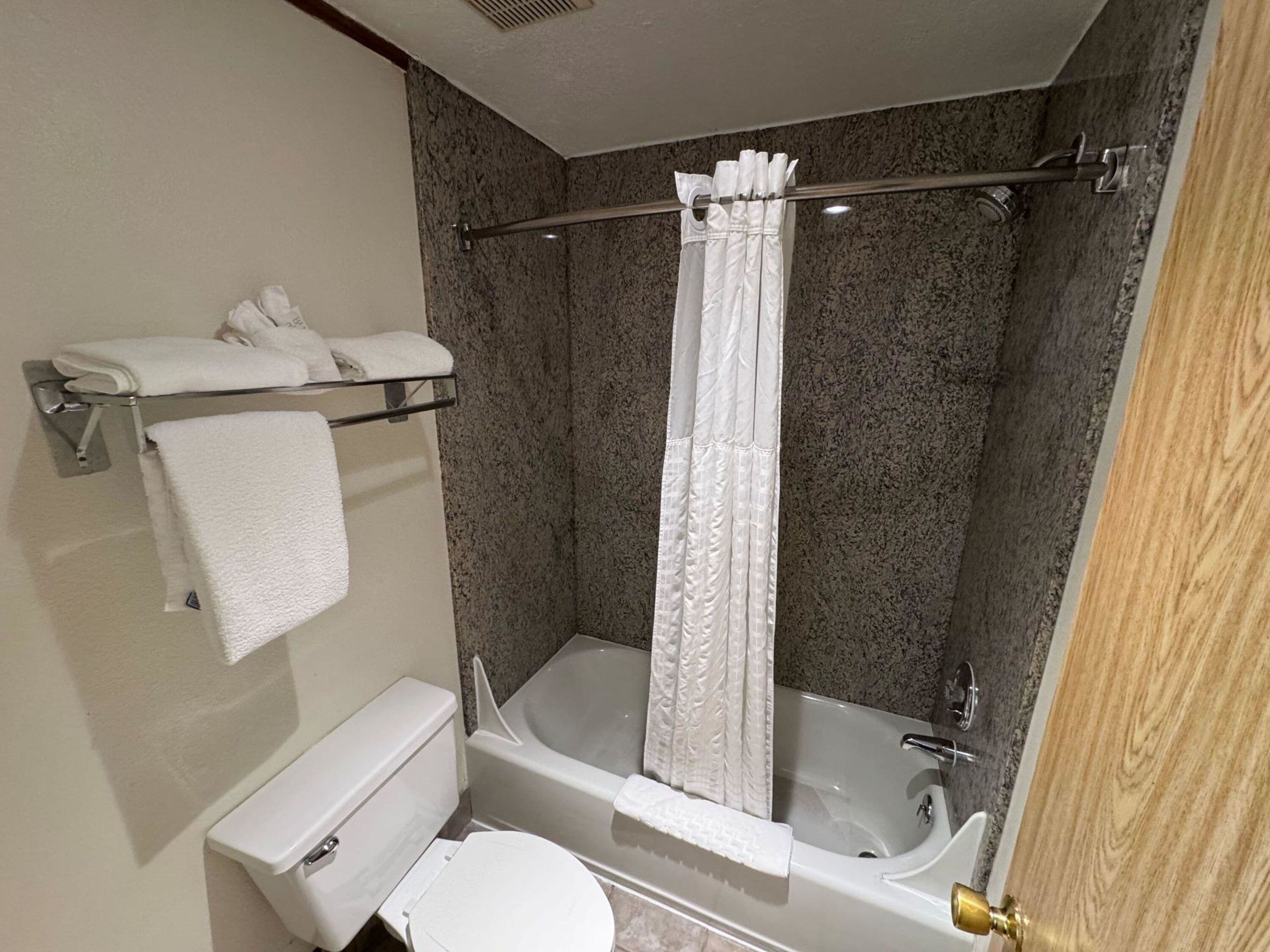 Een badkamer met toilet, badkuip, douchegordijn en handdoekrek.