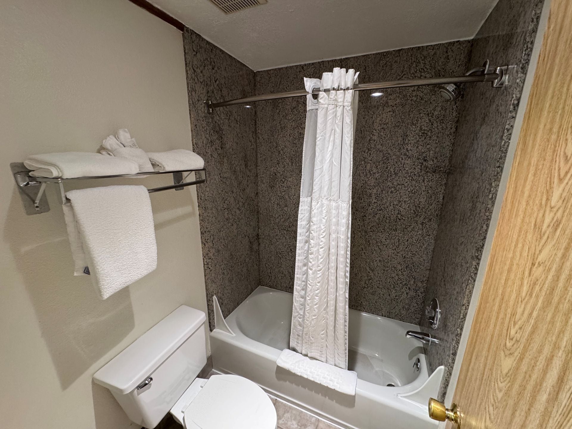 A bathroom with a toilet, a bathtub, and a shower curtain.