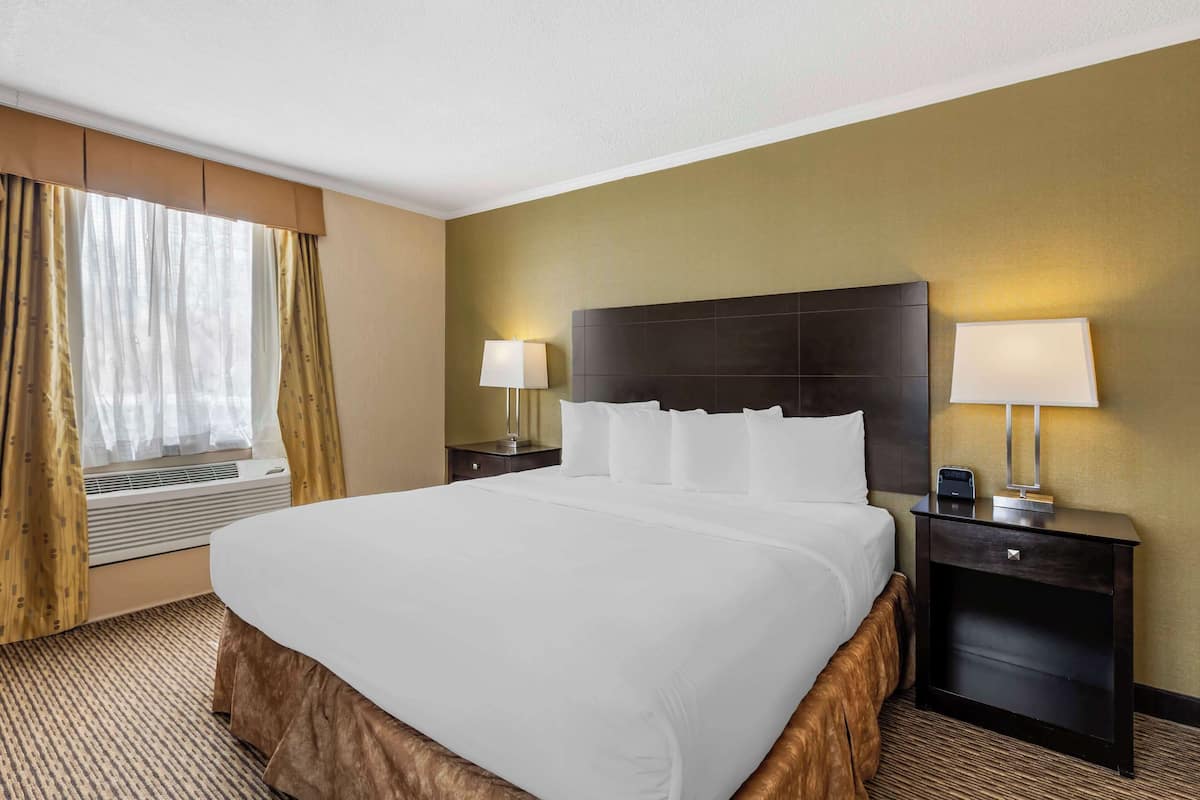 Suite, 1 King Bed, Non Smoking, Refrigerator & Microwave (Living Room;with Sofabed) | Premium bedding, pillowtop beds, individually furnished, desk