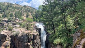 Ein Wasserfall stürzt über eine steile Felswand, umgeben von dichtem Wald.