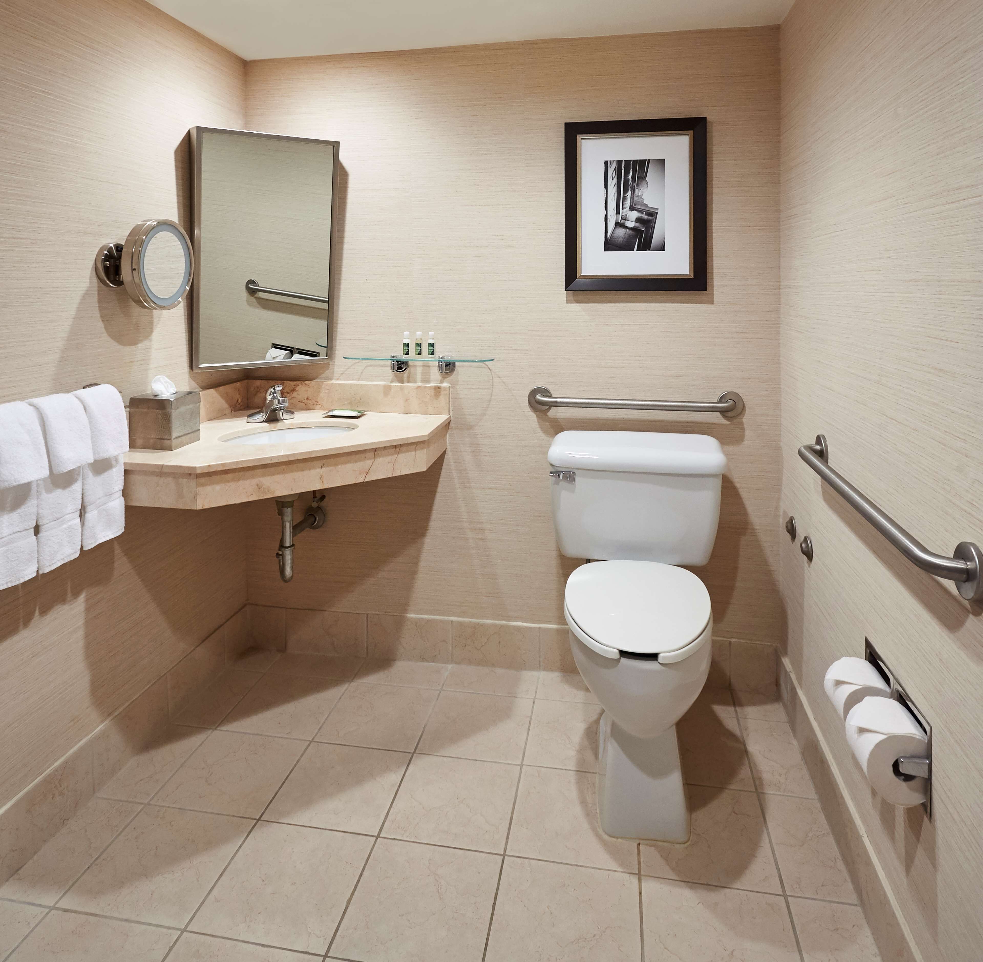 Une salle de bain moderne équipée d’un lavabo, d’un miroir, de toilettes et de barres d’appui.