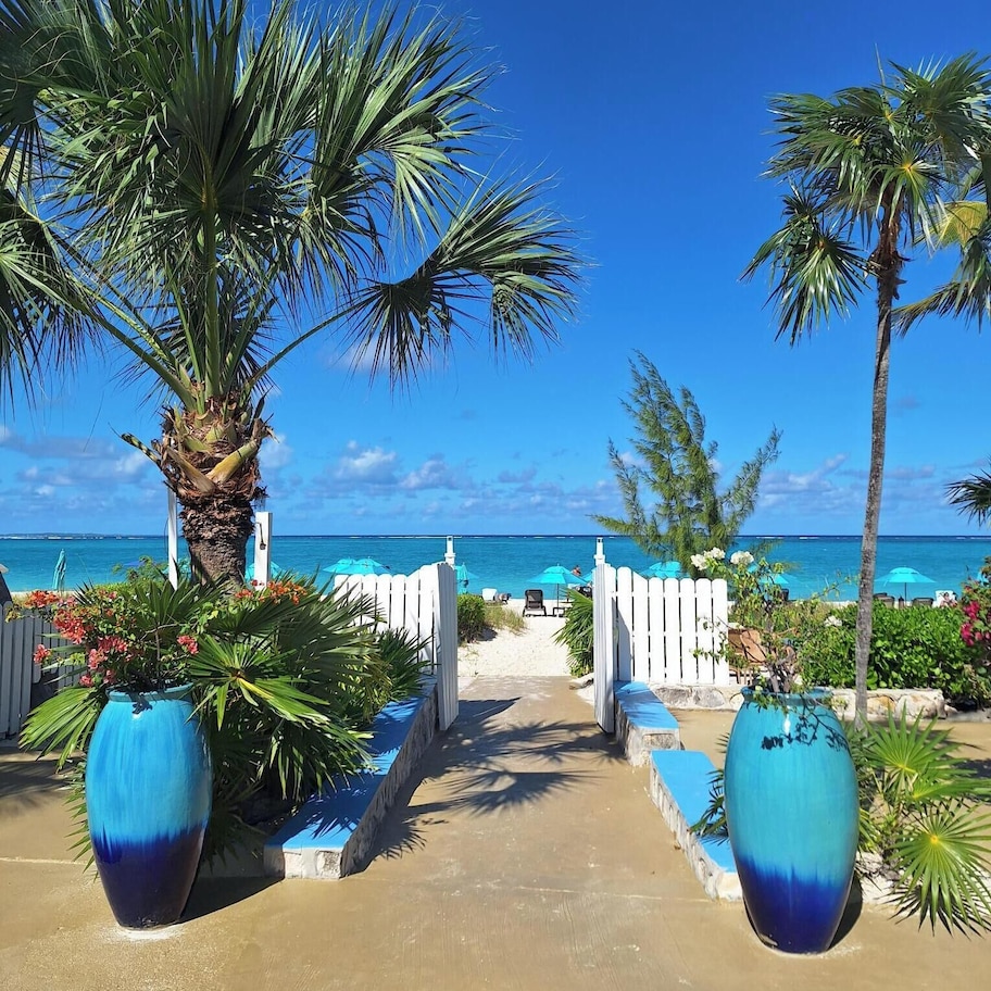 A pathway leading to a beach with palm trees and a view of the ocean.