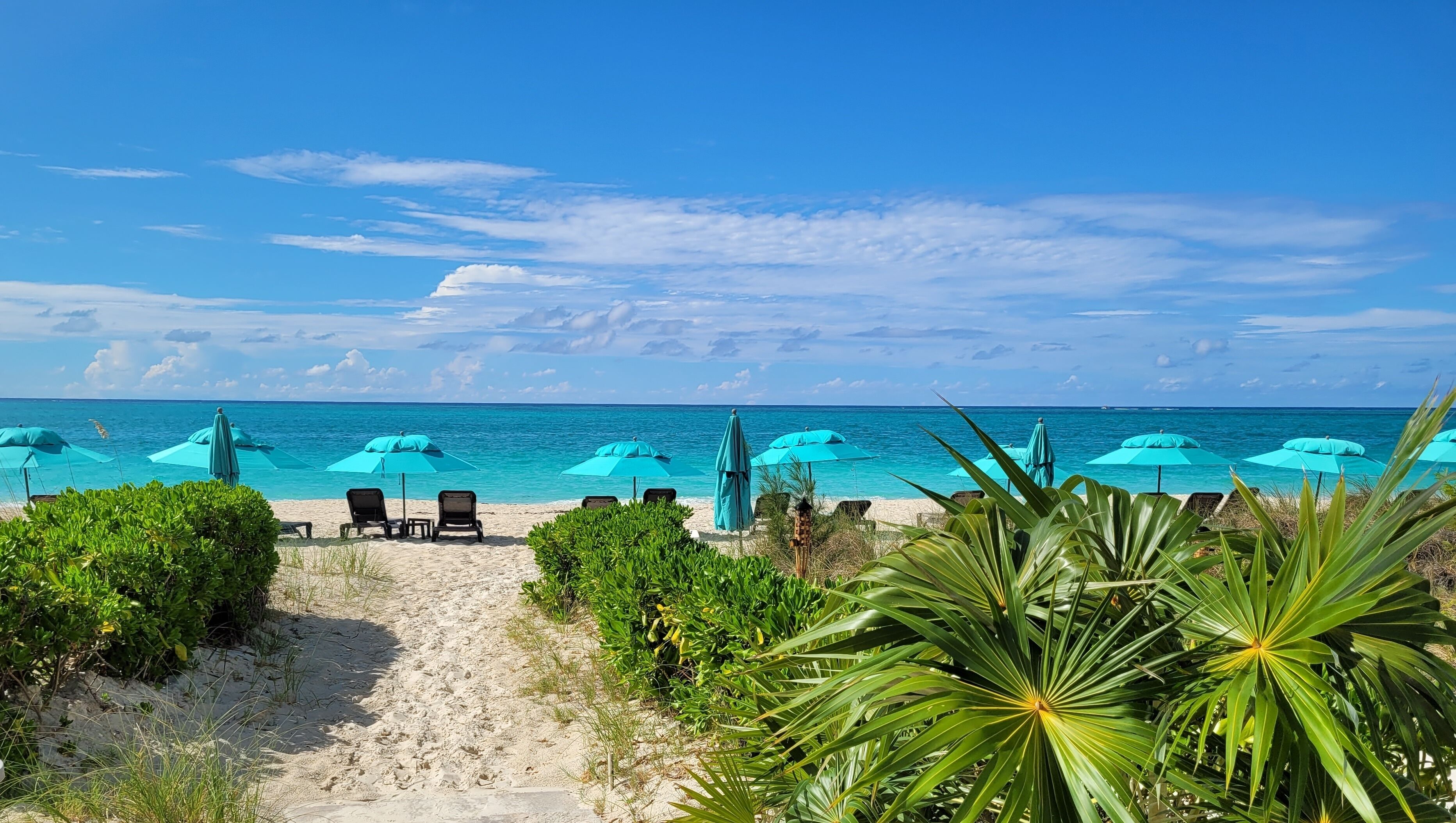 on the beach, white sand, sun-loungers, beach umbrellas