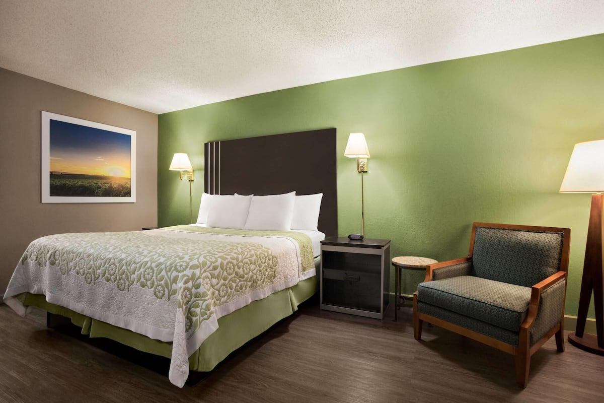 Standard Room, 1 King Bed | Blackout drapes, cribs (free), rollaway beds (surcharge), WiFi (free)