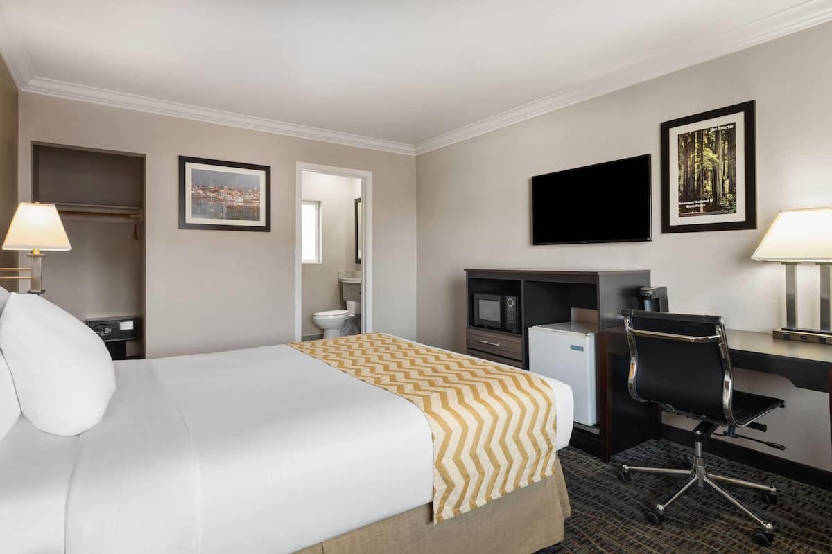 A hotel room with a bed, desk, chair, television, and a small kitchenette.