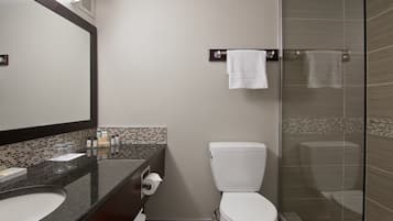 Un baño moderno con ducha de vidrio, inodoro blanco y tocador con espejo y artículos de aseo.