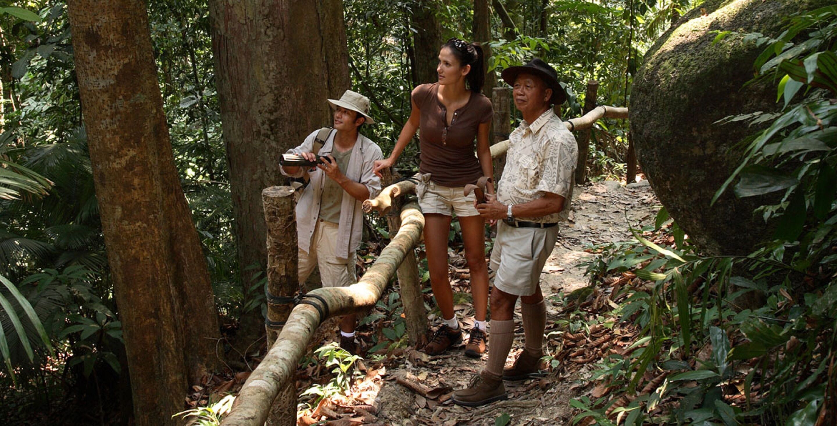 A group of people in a forested area with a rope bridge.