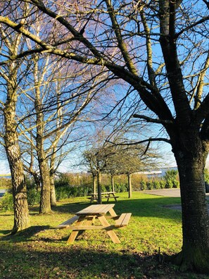 BBQ/picnic area