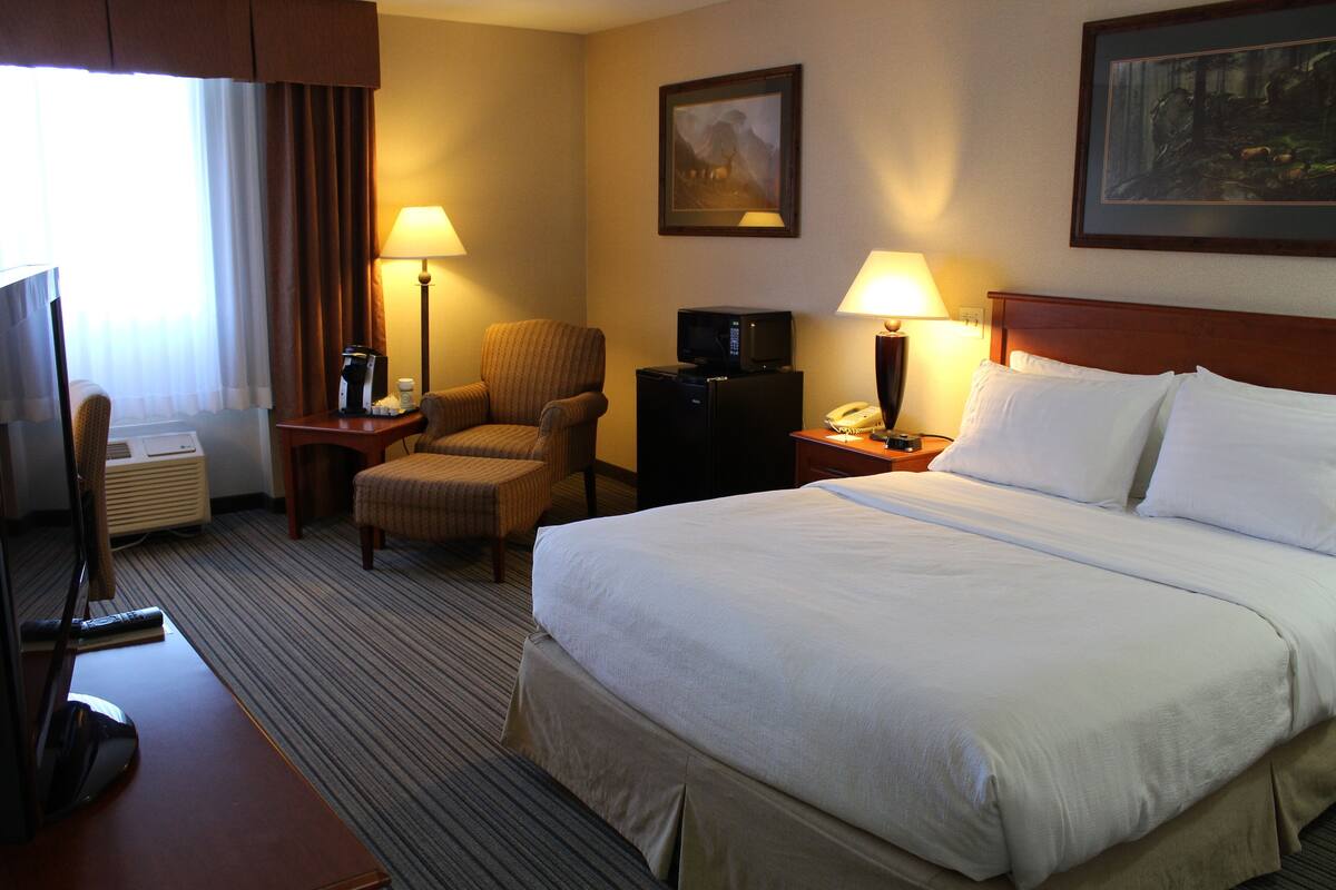 Room, 1 Queen Bed, Non Smoking, Roll-in Shower | โต๊ะทำงาน, เตารีด/โต๊ะรีดผ้า, Wi-Fi ฟรี, ผ้าปูที่นอน