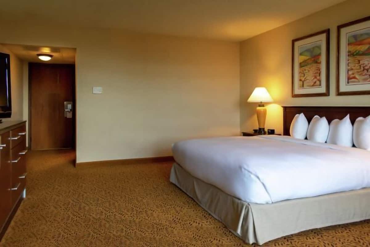 Premium bedding, in-room safe, desk, blackout curtains