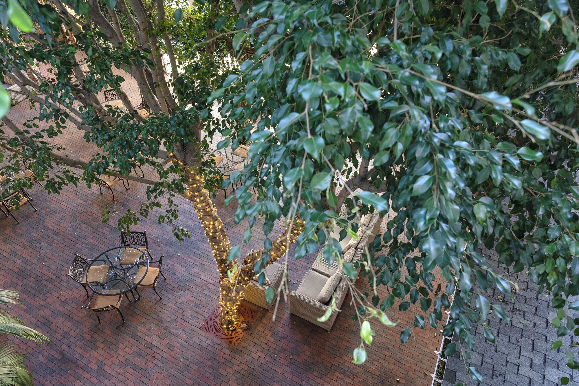 An outdoor seating area with wicker furniture and a tree wrapped in lights.