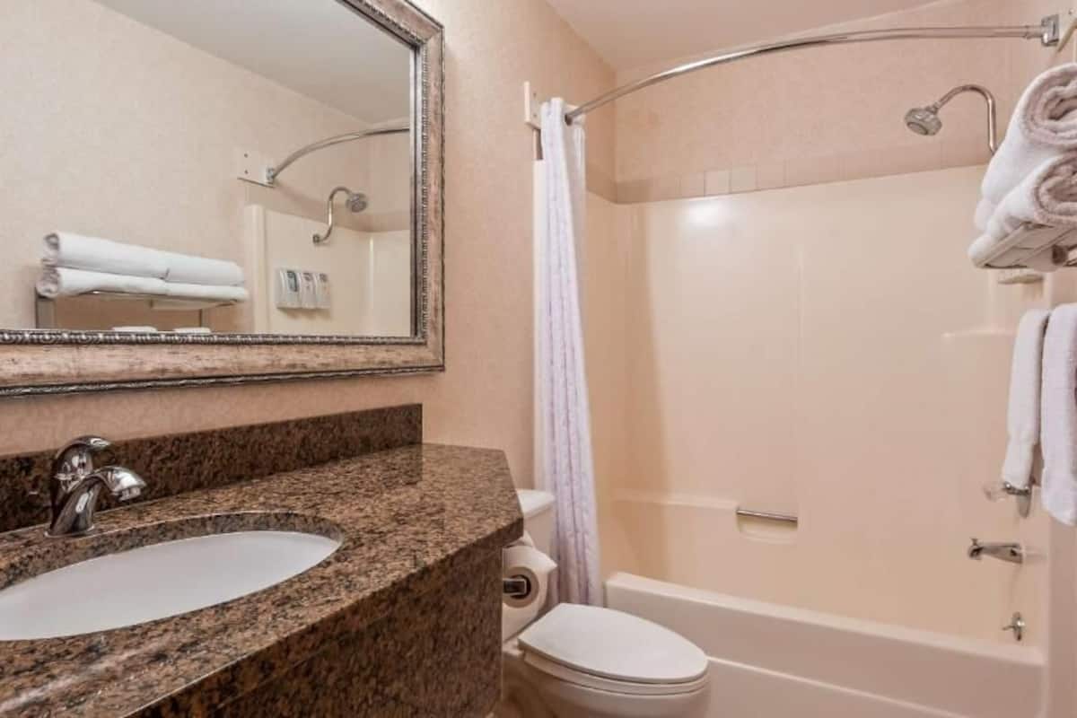 combined shower/bathtub, free toiletries, towels, soap