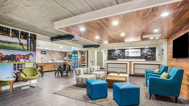 Una moderna zona de recepción con techo de madera, un mostrador de recepción, asientos y un mural de caballos.
