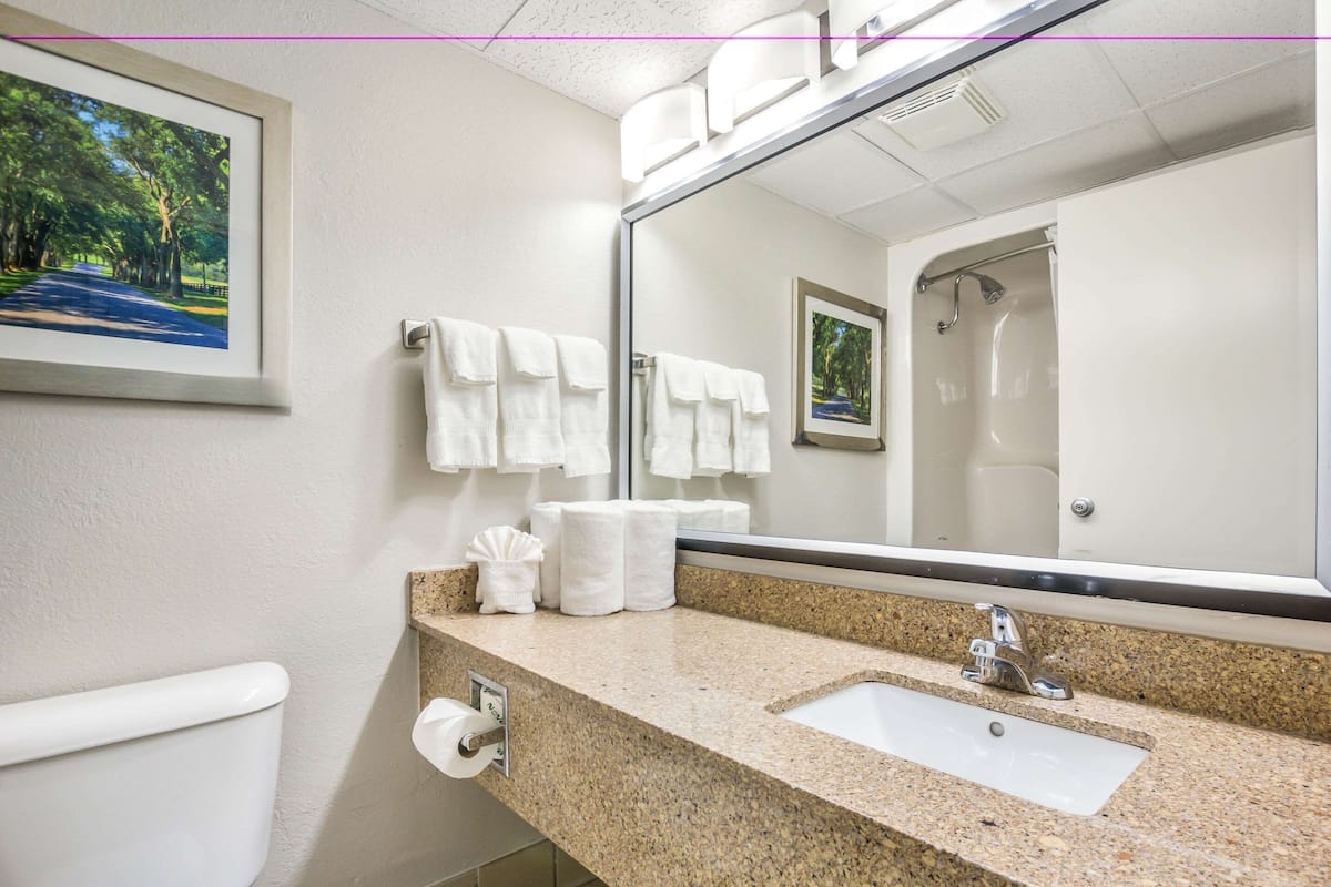 combined shower/bathtub, free toiletries, hair dryer, towels