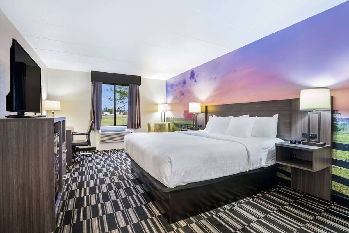 Una habitación de hotel con una cama grande, un escritorio con televisor, una ventana con cortinas y un cuadro de paisaje en la pared.