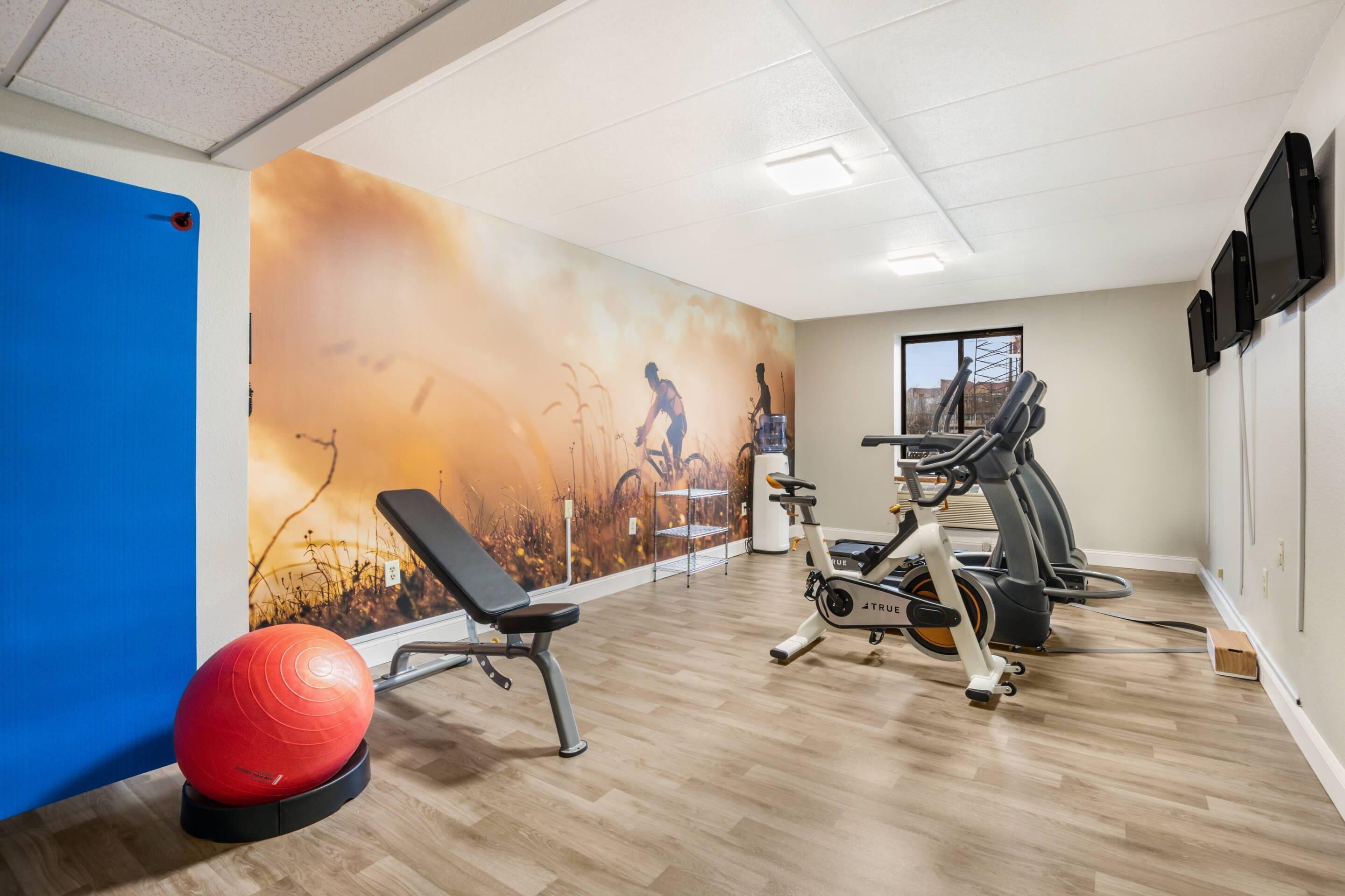 Een sportschool met fitnessapparatuur, een blauwe muur en een muurschildering.
