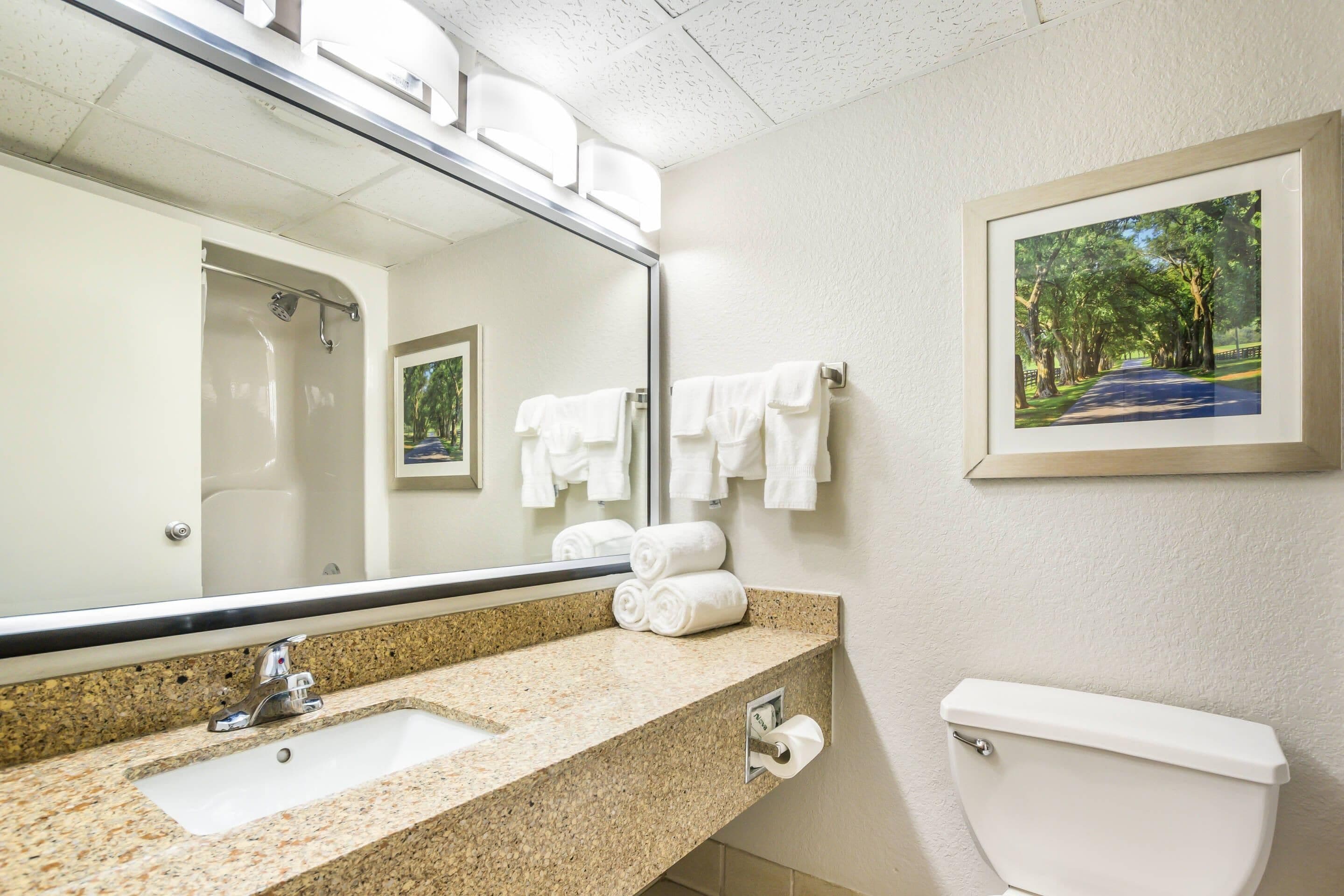 A bathroom with a sink, mirror, toilet, and a framed picture on the wall.