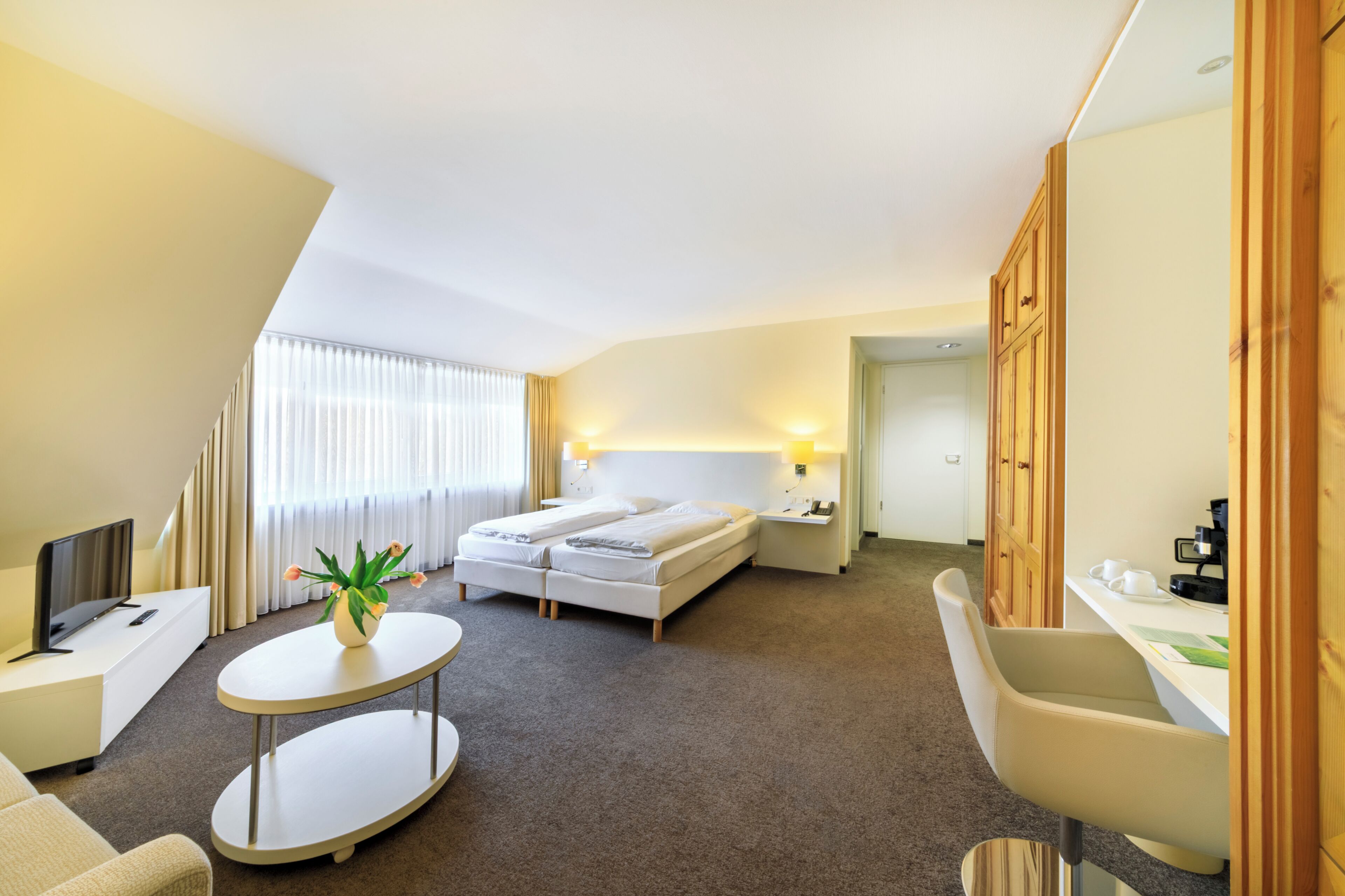 Quarto de hotel com cama, escrivaninha, cadeira, televisão e planta.