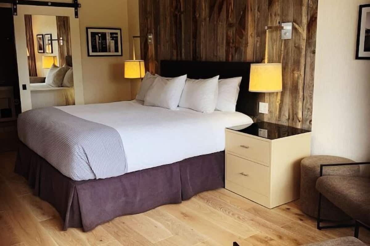 Hypo-allergenic bedding, down duvets, in-room safe, desk