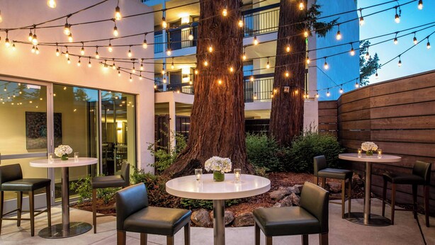 An outdoor seating area with round tables and chairs, string lights overhead, and a large tree in the center. - Hotel Paradox, Autograph Collection (Santa Cruz)