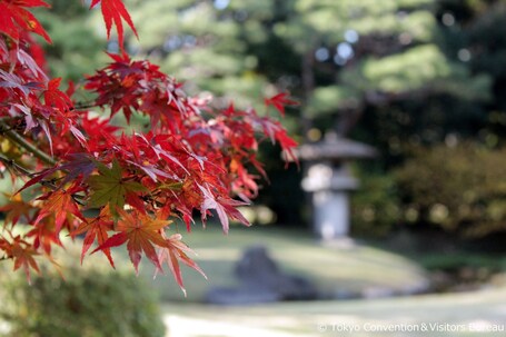 Imperial Hotel, Tokyo - Image 27