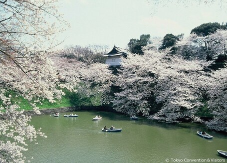 Imperial Hotel, Tokyo - Image 21