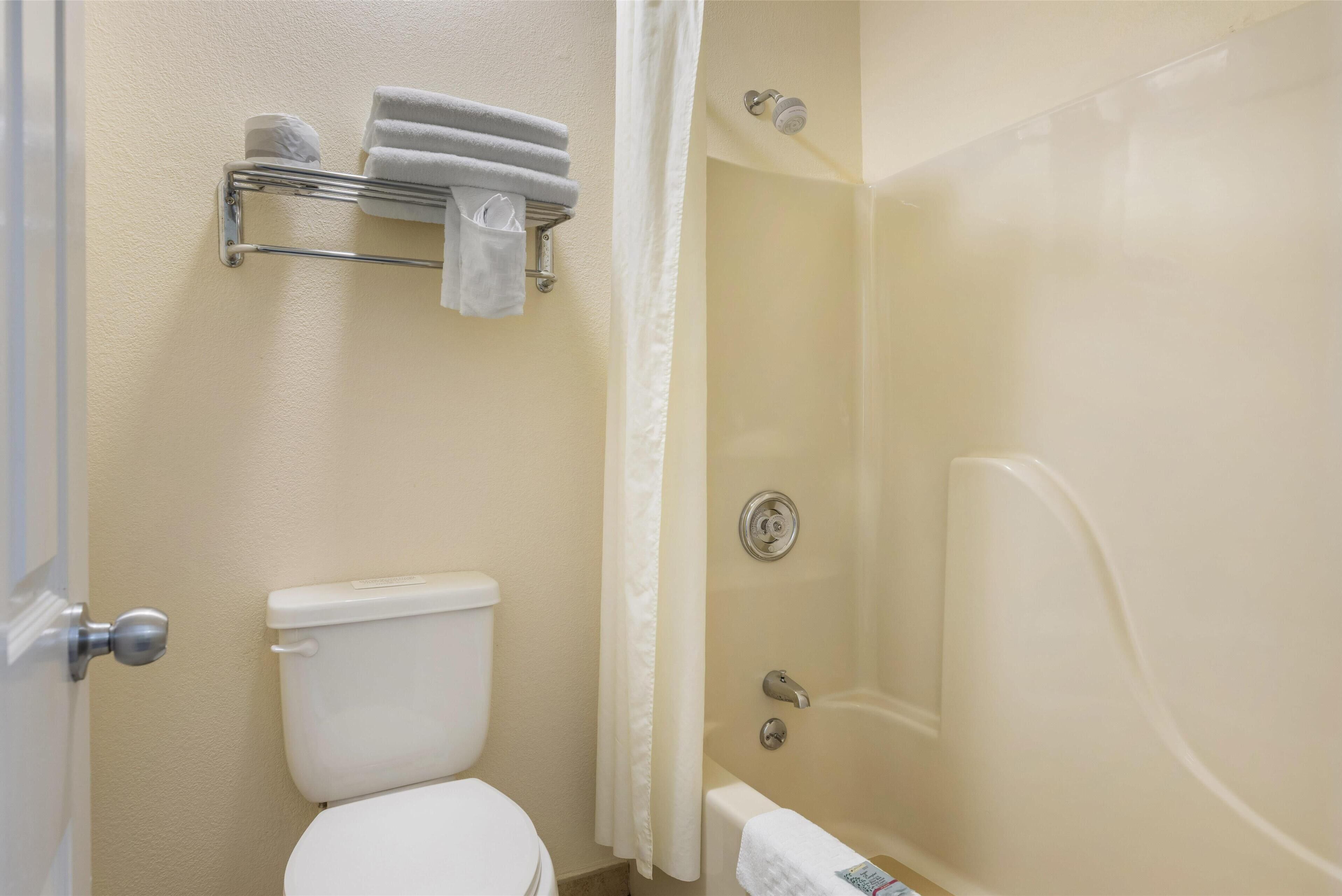 suite, 1 king bed, non smoking, microwave (with sofabed) | bathroom | combined shower/bathtub, free toiletries, hair dryer, towels