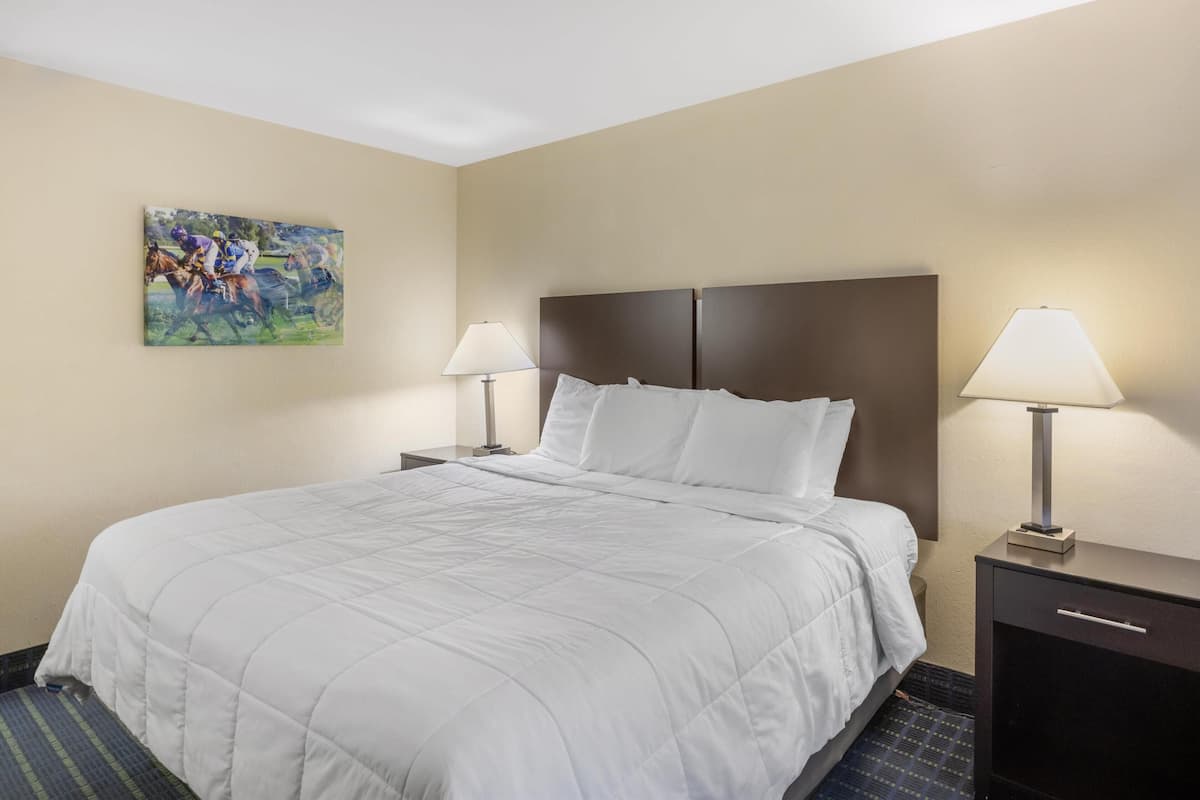 A hotel room with a large bed, two bedside tables with lamps, a headboard, and a painting on the wall.