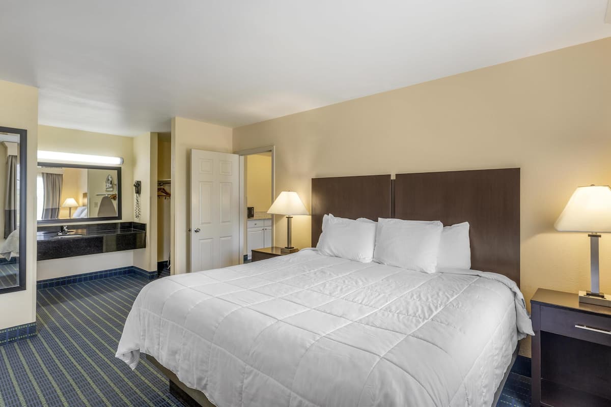 suite, 1 king bed, non smoking, microwave (with sofabed) | in-room safe, desk, iron/ironing board, free cots/infant beds