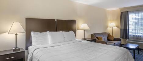 Chambre Standard, 1 très grand lit, non-fumeur, four à micro-ondes (with Sofabed) | Coffre-fort, bureau, fer et planche à repasser, lit de bébé (gratuit)
