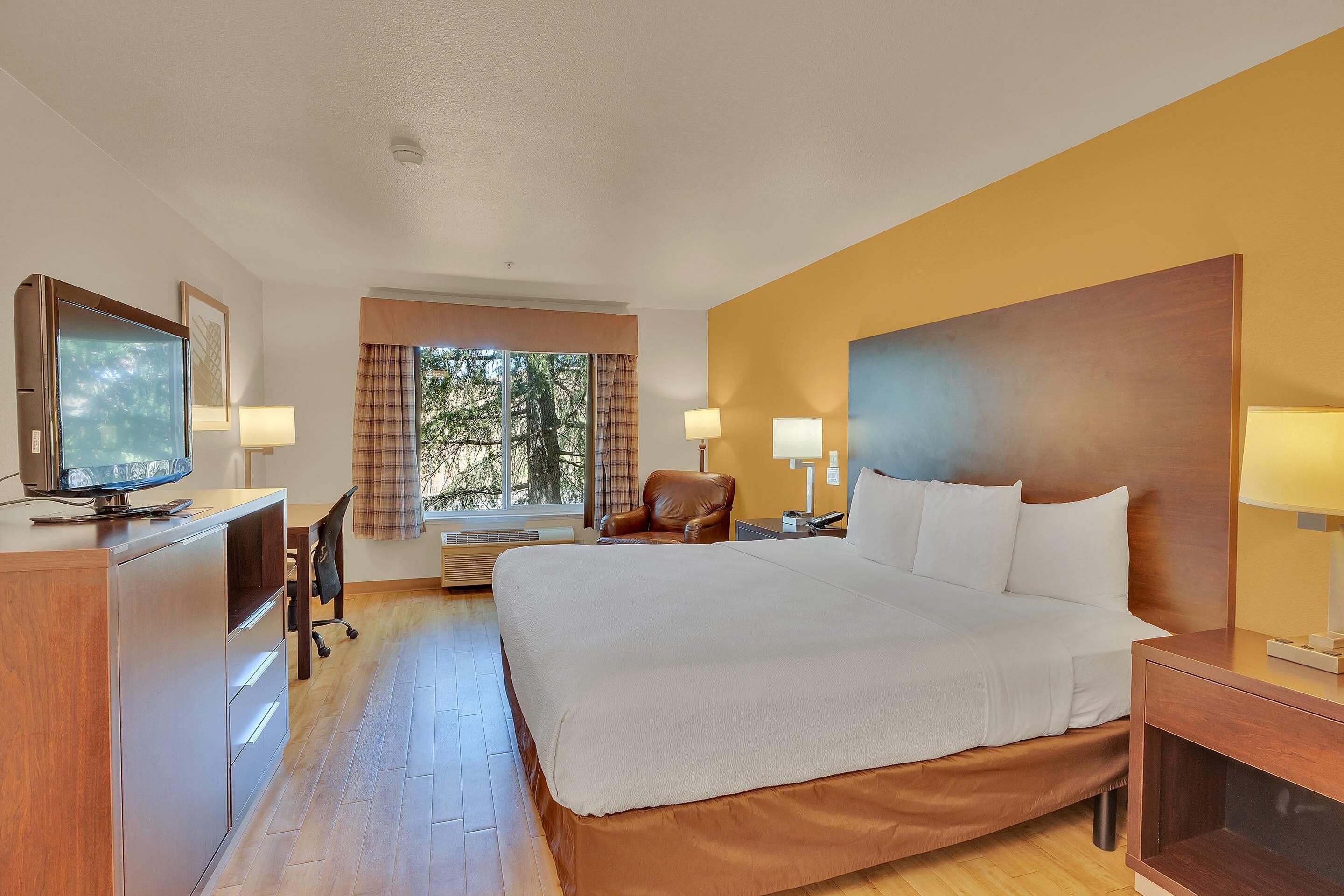 Standard Room, 1 King Bed, Non Smoking | Hypo-allergenic bedding, desk, laptop workspace, blackout drapes