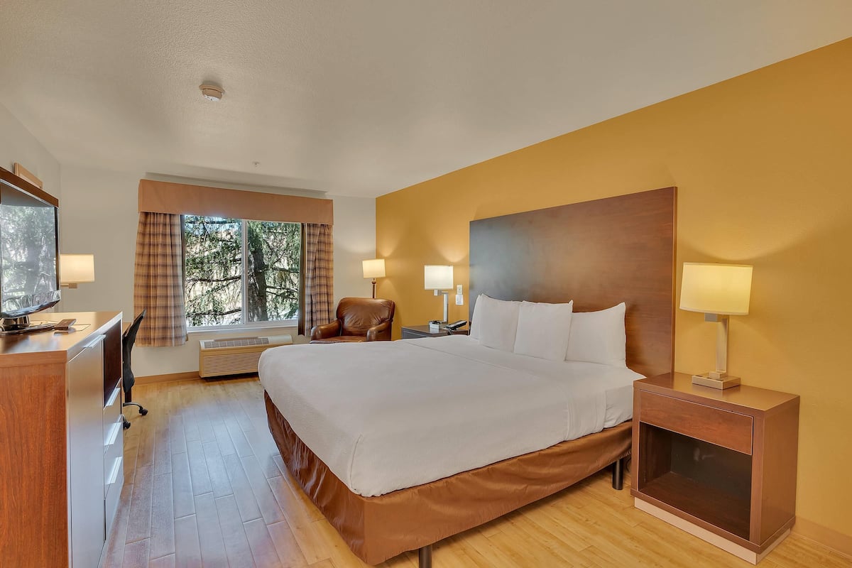 A hotel room with a large bed, a desk, a chair, and a TV.