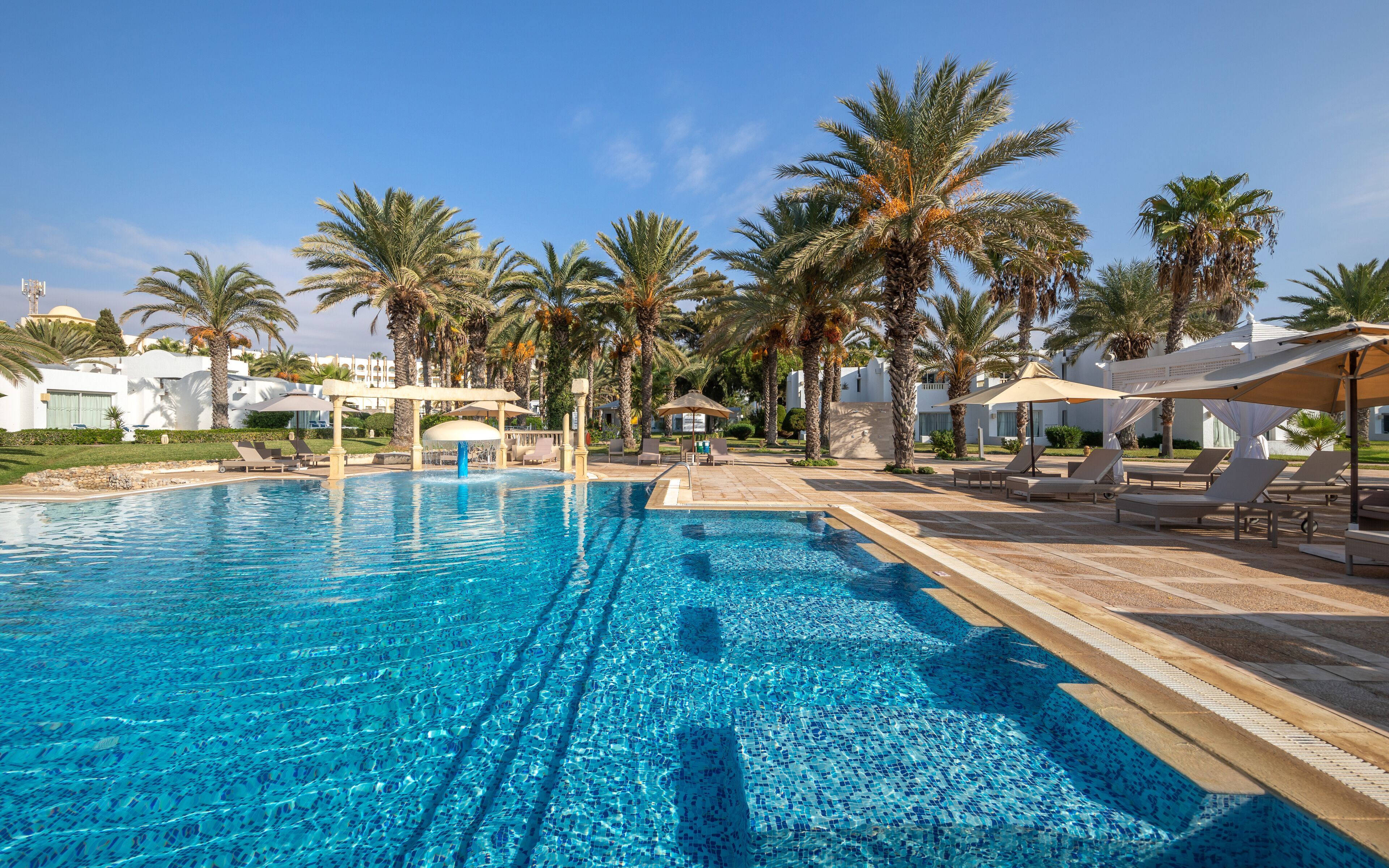 A swimming pool with clear blue water, surrounded by palm trees and lounge chairs.