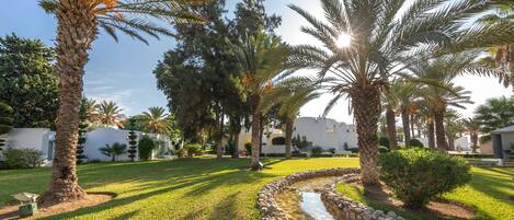 A landscaped garden with palm trees, a stone-lined water feature, and a white building in the background.